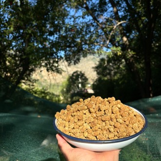 Kuru Dut (1 Kg)
