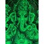 GANESH'S GATEWAY- florasan yeşil duvar örtüsü