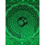 CYGNUS GATE- florasan yeşil duvar örtüsü 