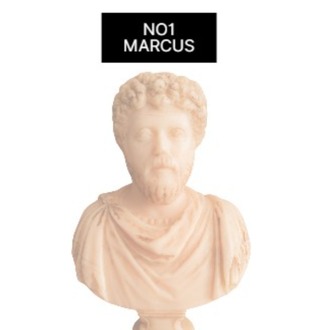 NO.1 MARCUS (Tek Renk)