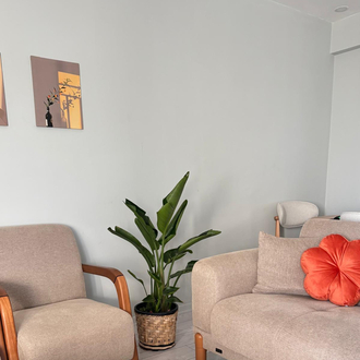 Canlı Nicolai Starliçe (Strelitzia nicolai) – 3 Kök, 100 cm, Üretim Saksılı