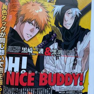 2010 Aralık Animedia Bleach Özel Sayısı