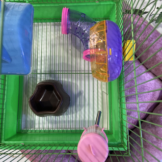 Lüx Hamster Kafesi Büyük Boy