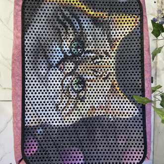 3D desenli kedi paspası