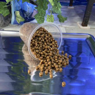Proplan kitten tavuklu yavru kedi maması