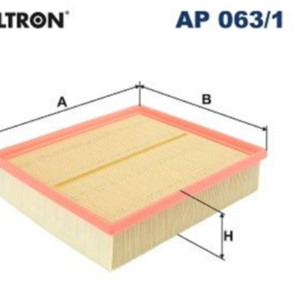 FİLTRON AP063/1 HAVA FİLTRESİ
