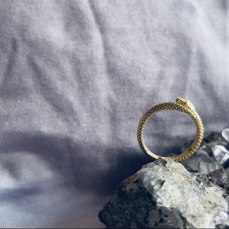 The Ouroboros Ring