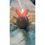 Bunny Candle