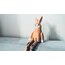 Bunny Puppet