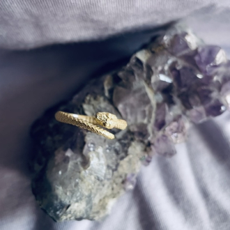 The Ouroboros Ring