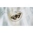 butterfly kolye
