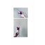 Easter Candle | Bird 