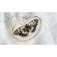 butterfly kolye