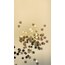 star confetties no3 