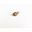 Island Pebbles | Tenedos'16