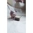 ceramic piggy bank