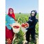 ACI BİBER SALÇASI 1 KG 