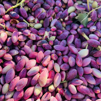1 kg taneli fıstık içi