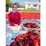 ACI BİBER SALÇASI 1 KG 