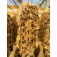 CEVİZLİ SUCUK 500 GR 
