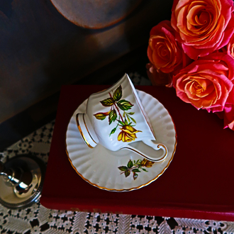 Antika fincan Paragon 1950-1960