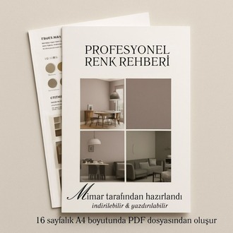 PROFESYONEL RENK REHBERİ