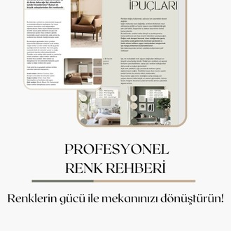PROFESYONEL RENK REHBERİ