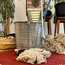 White Mop Wringer Co. Endüstriyel Galvaniz Mop Seti 