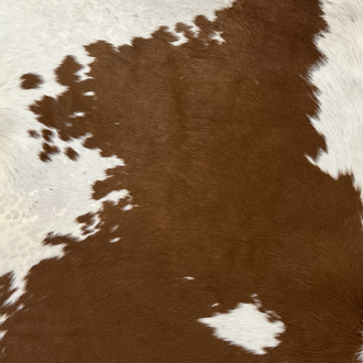 Vintage Cowhide Rug