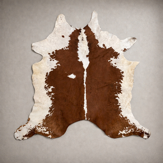 Vintage Cowhide Rug