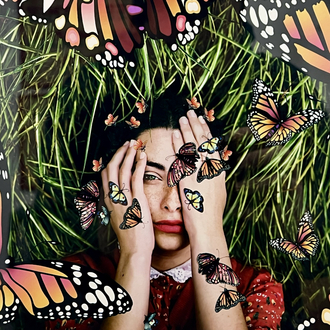 ''Ba’s Day Out With Butterflies'' 