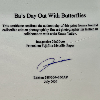 ''Ba’s Day Out With Butterflies'' 
