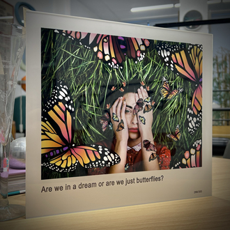 ''Ba’s Day Out With Butterflies'' 