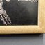 Cavallini Papers & Co. İskelet Anatomi Şemaları 