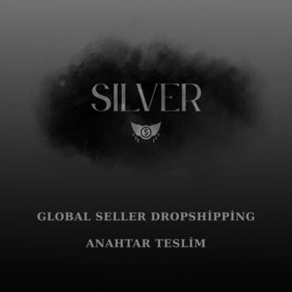Global Seller Dropshipping SILVER