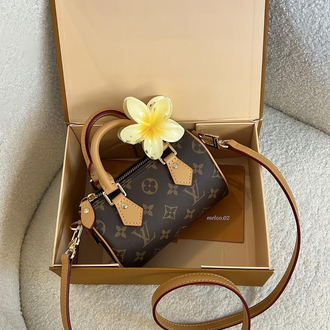 Louis Vuitton Mini Bag