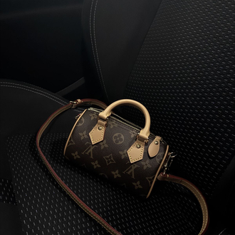 Louis Vuitton Mini Bag