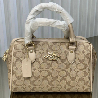 Coach Bej Bag