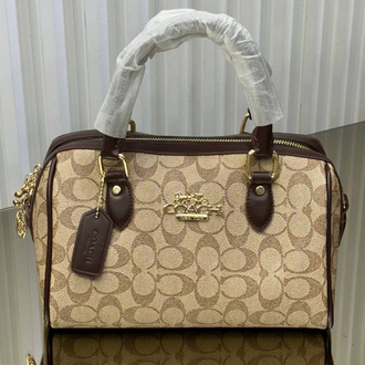 Coach Brown & Bej Bag