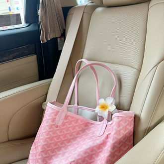 Goyard Pink Çanta