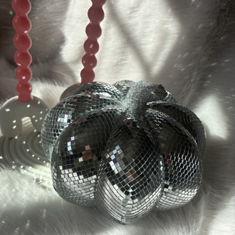 Disko Balkabağı-25 cm