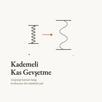 Kapsül Rehber 08 — Kademeli Kas Gevşetme