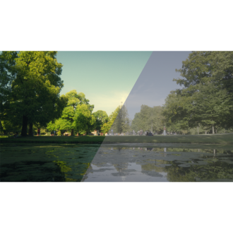 Tek Tık Color Grade