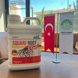 SQUARE ROOT (Özel Köklendirici)