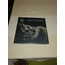 Primordial - Where Greater Men Have Fallen (LP, Gre + LP, S/Sided, Etch, Gre + Album, Ltd, Num) (Met