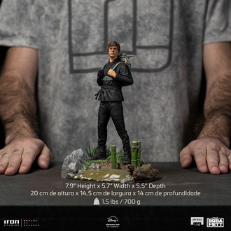 Luke Skywalker & Grogu (Training Version) – Art Scale 1/10 Statue (Iron Studios)