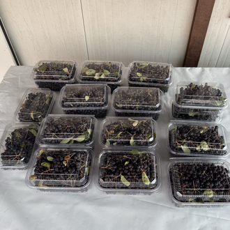 ARONYA 1 KG
