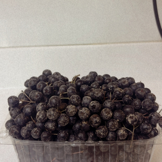 Taze Aronya 1 kg 