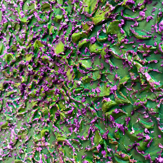 Ivy
