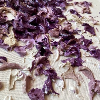 PETALS - Symphony in purple